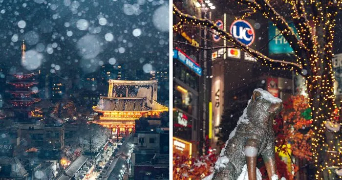 Tokyo Got Snow For The First Time In 4 Years, And I Took The Chance To Photograph It (15 Pics)