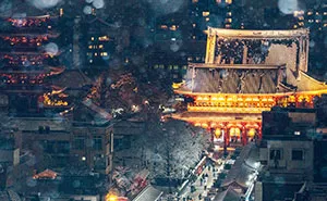 Tokyo Got Snow For The First Time In 4 Years, And I Took The Chance To Photograph It (15 Pics)