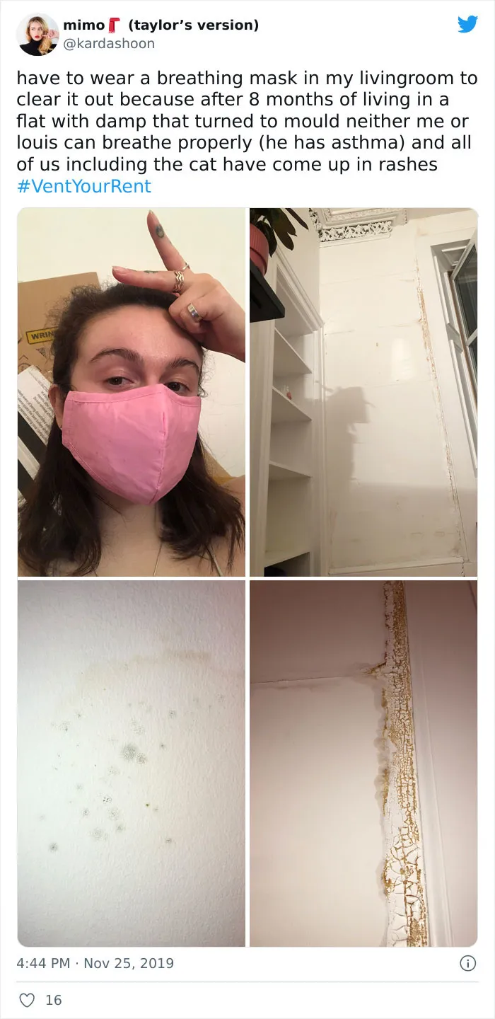30 Of The Most WTF Situations Tenants Had To Deal With In Their Apartments