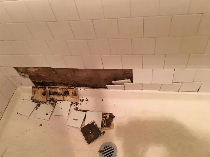 $1950/Month Shower Completely Falls Apart Been Like This For 2 Months And Various Calls To Maintenance And Still Nothing