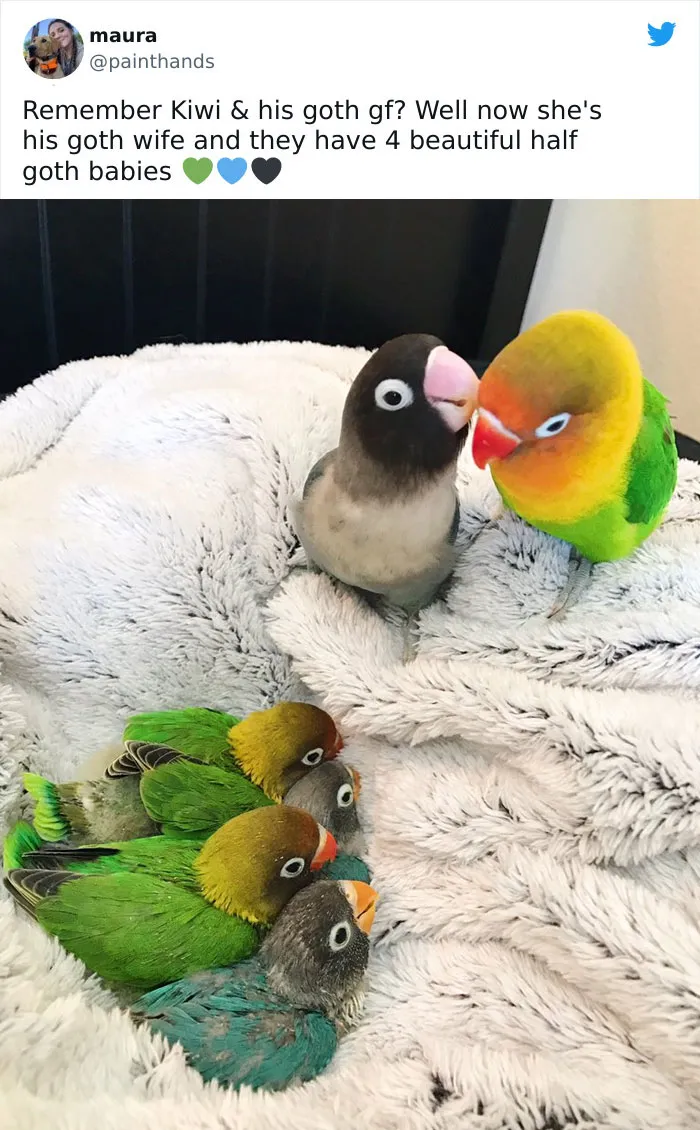 Blessed_babies