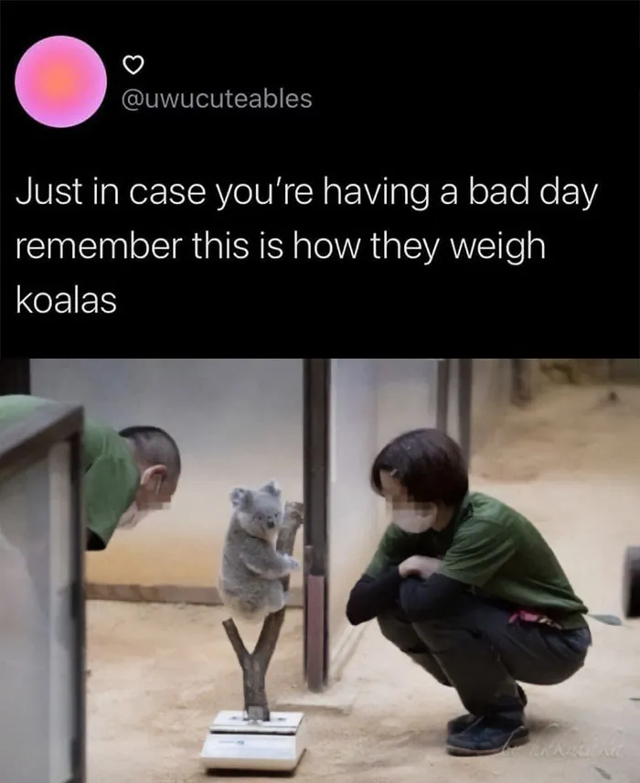 Blessed Weighing