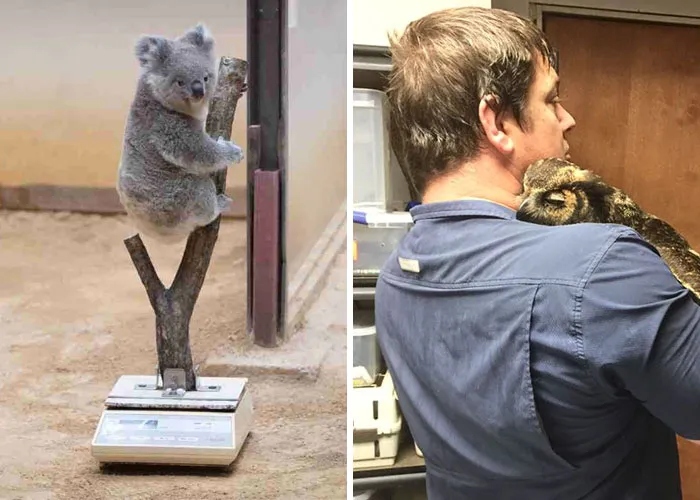 50 Of The Most Blessed Images From This Online Community To Boost Your Mood
