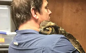 50 Of The Most Blessed Images From This Online Community To Boost Your Mood