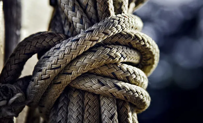 30 Common Survival Myths That Are Actually Dangerous
