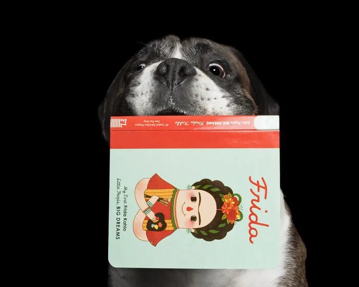 Dozer And The Book