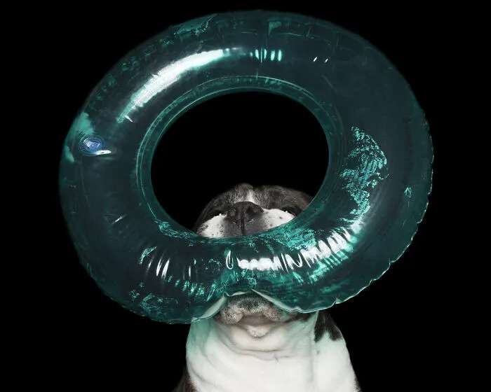 Dozer And The Round Inflatable