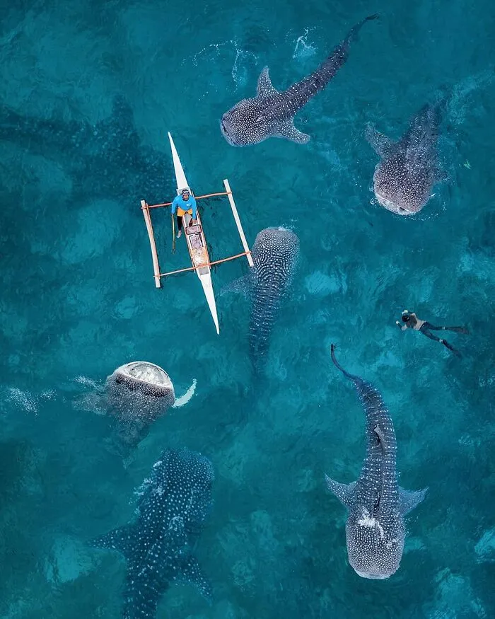 Photographer Shows Incredible Landscapes Seen From Above (50 Pics)