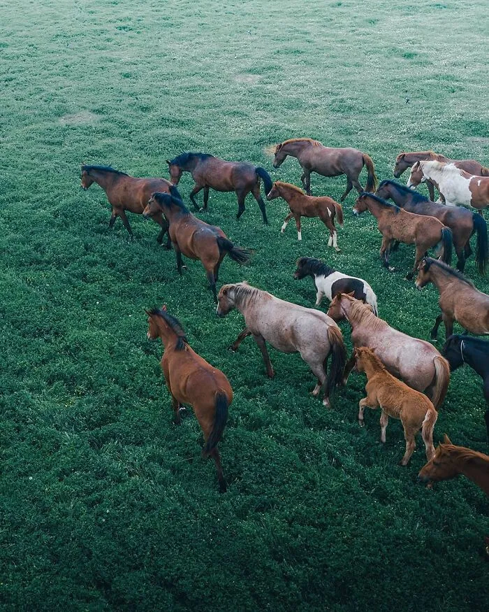 Photographer Shows Incredible Landscapes Seen From Above (50 Pics)