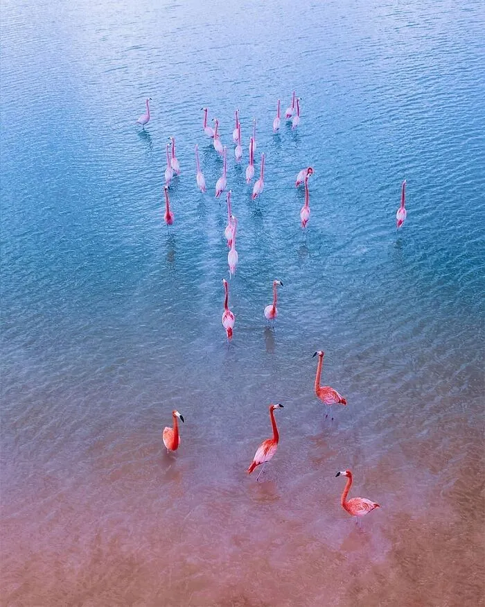 Photographer Shows Incredible Landscapes Seen From Above (50 Pics)