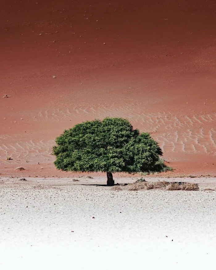 Photographer Shows Incredible Landscapes Seen From Above (50 Pics)