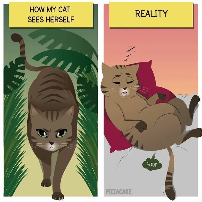 Artist Shares Her Best 40 Comics That Show What Family Life With A Feisty Cat Is Like