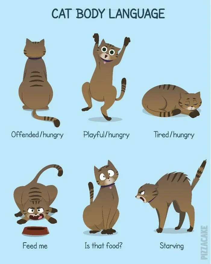 Artist Shares Her Best 40 Comics That Show What Family Life With A Feisty Cat Is Like