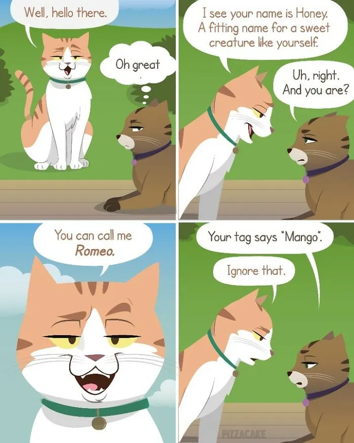 Artist Shares Her Best 40 Comics That Show What Family Life With A Feisty Cat Is Like