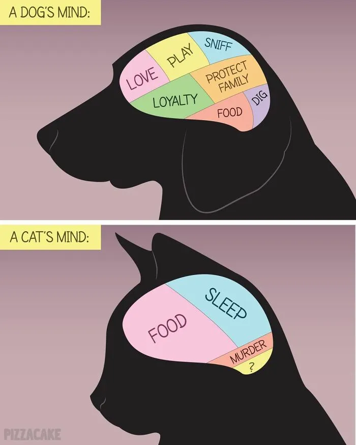 Artist Shares Her Best 40 Comics That Show What Family Life With A Feisty Cat Is Like