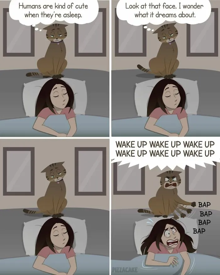 Artist Shares Her Best 40 Comics That Show What Family Life With A Feisty Cat Is Like