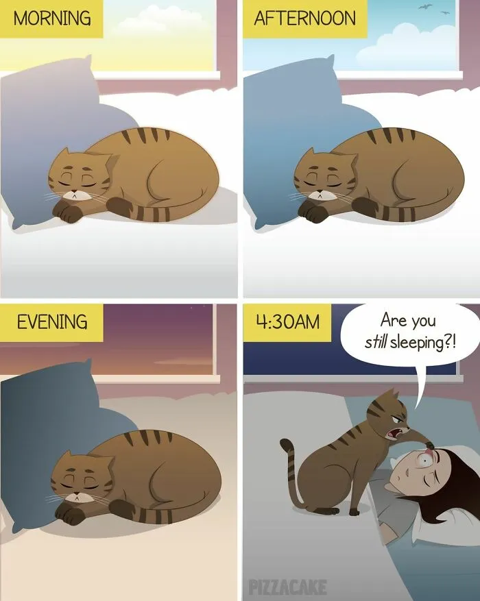 Artist Shares Her Best 40 Comics That Show What Family Life With A Feisty Cat Is Like