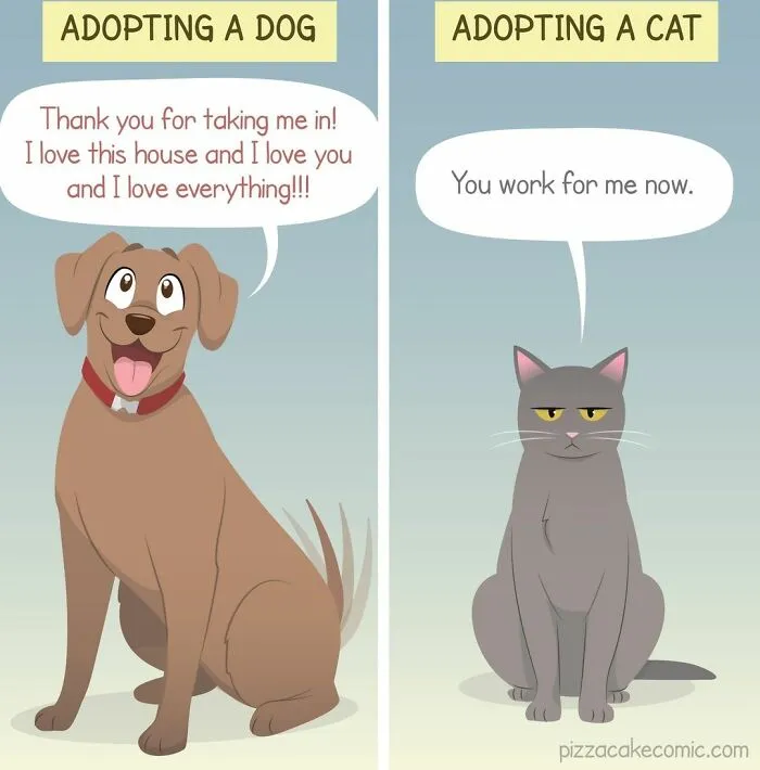 Artist Shares Her Best 40 Comics That Show What Family Life With A Feisty Cat Is Like