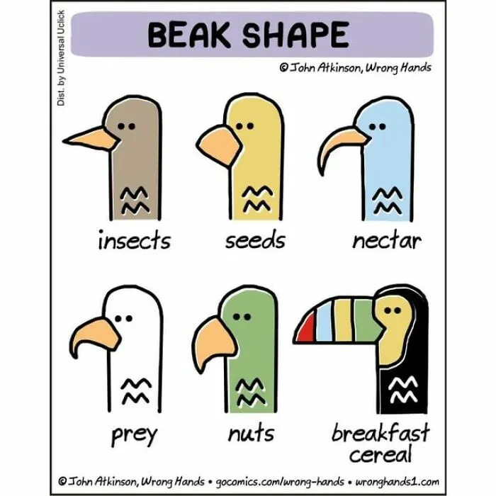 This Artist Makes Witty And Funny Cartoons About Science, Literature, Pop Culture, And Many Other Things (30 New Pics)
