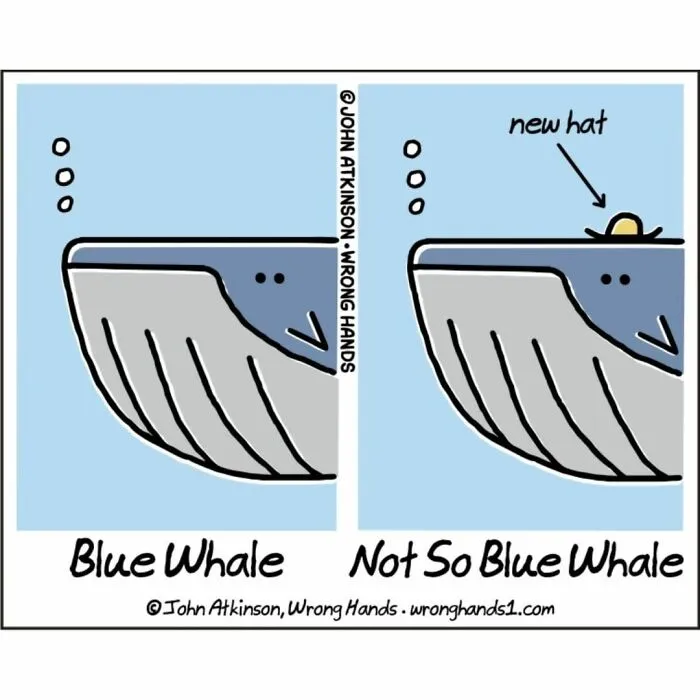 This Artist Makes Witty And Funny Cartoons About Science, Literature, Pop Culture, And Many Other Things (30 New Pics)