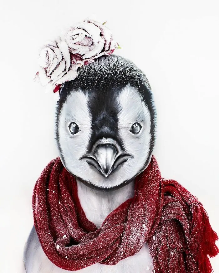 Baby Penguin