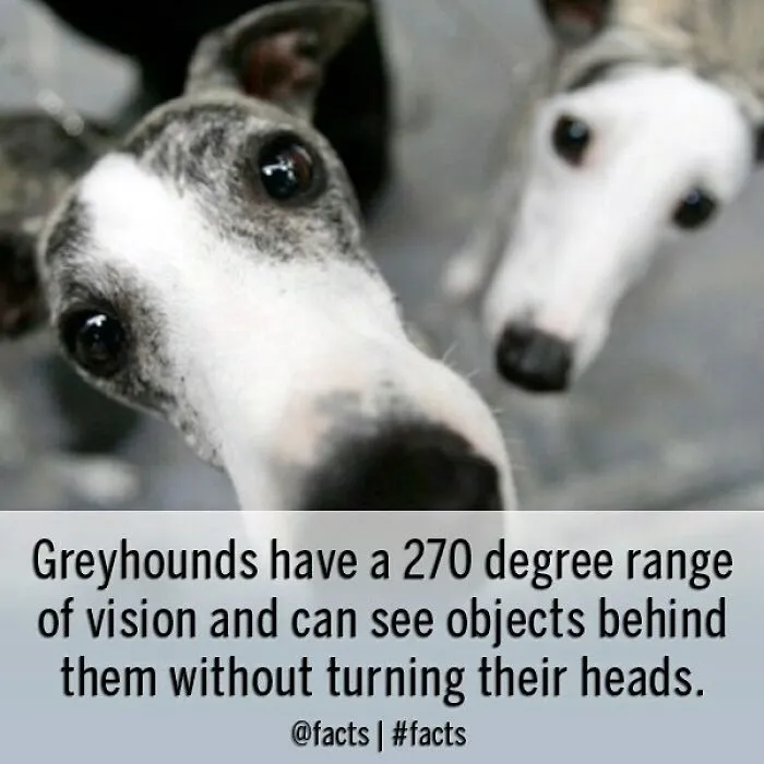 50 Of The Most Interesting Facts About Our World, As Shared By This Instagram Account