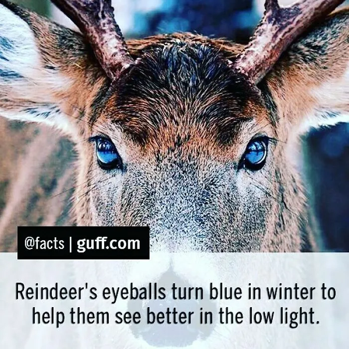 50 Of The Most Interesting Facts About Our World, As Shared By This Instagram Account