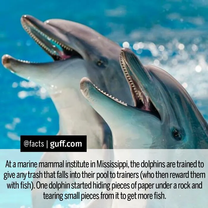 50 Of The Most Interesting Facts About Our World, As Shared By This Instagram Account