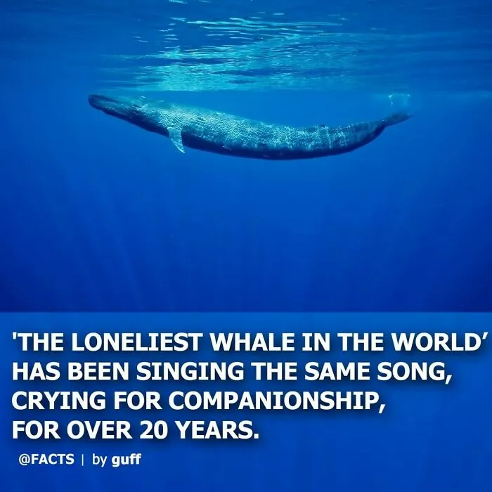 50 Of The Most Interesting Facts About Our World, As Shared By This Instagram Account