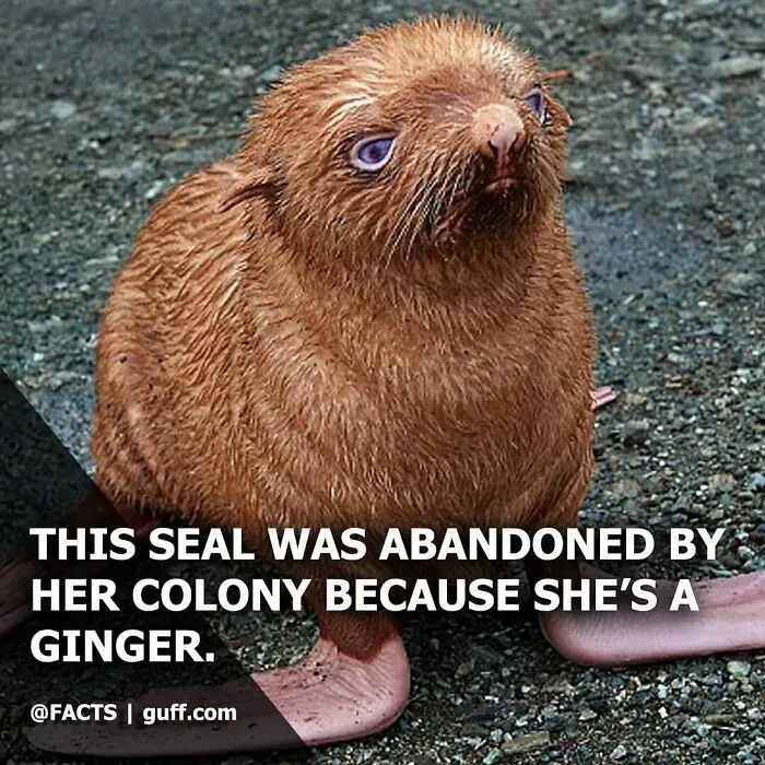 50 Of The Most Interesting Facts About Our World, As Shared By This Instagram Account