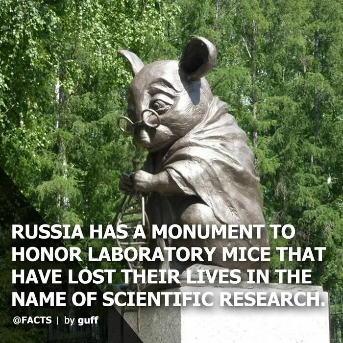 50 Of The Most Interesting Facts About Our World, As Shared By This Instagram Account