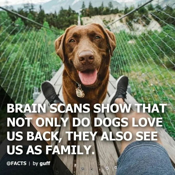 50 Of The Most Interesting Facts About Our World, As Shared By This Instagram Account