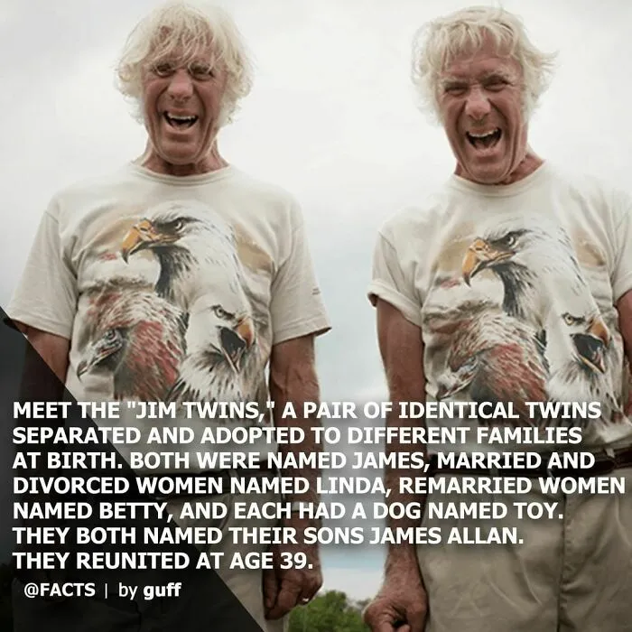 50 Of The Most Interesting Facts About Our World, As Shared By This Instagram Account