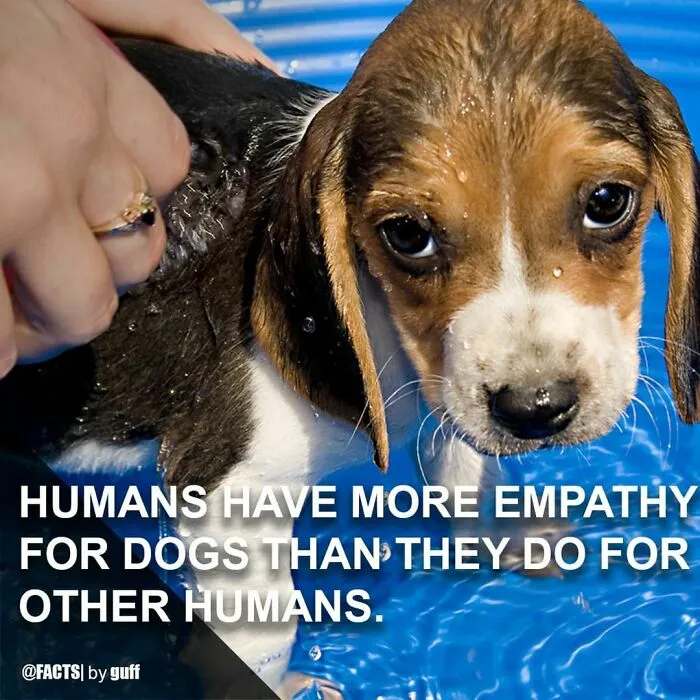 50 Of The Most Interesting Facts About Our World, As Shared By This Instagram Account