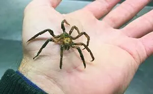 Russian Fisherman Posts Terrifying Creatures Of The Deep Sea That He Comes Across, And People Want Him To Stop (30 New Pics)