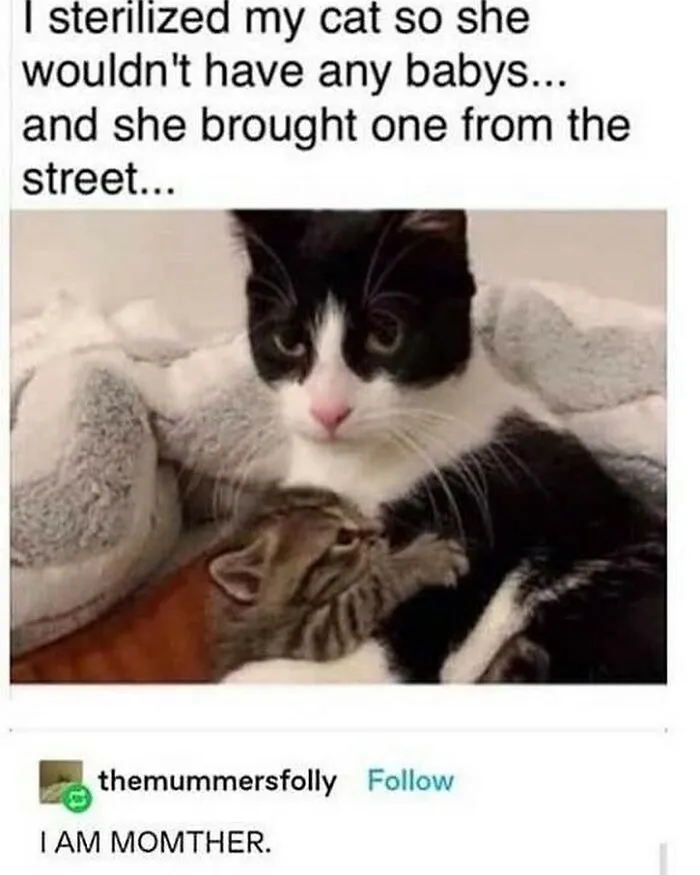 50 Times People Spotted Something On Tumblr That Was Worth Sharing With The Whole World
