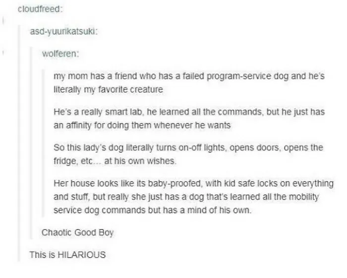 50 Times People Spotted Something On Tumblr That Was Worth Sharing With The Whole World