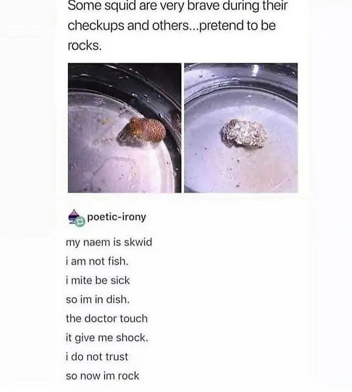 50 Times People Spotted Something On Tumblr That Was Worth Sharing With The Whole World