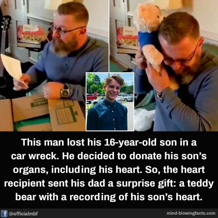 50 "Mind-Blowing Facts" Shared On This Instagram Page