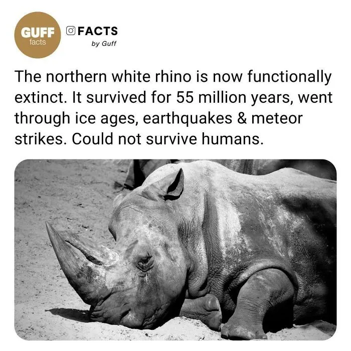 50 Of The Most Interesting Facts About Our World, As Shared By This Instagram Account
