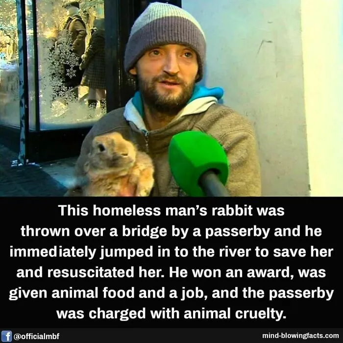 50 "Mind-Blowing Facts" Shared On This Instagram Page