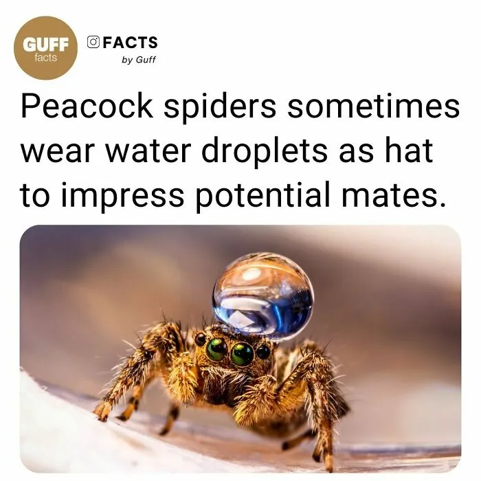 50 Of The Most Interesting Facts About Our World, As Shared By This Instagram Account