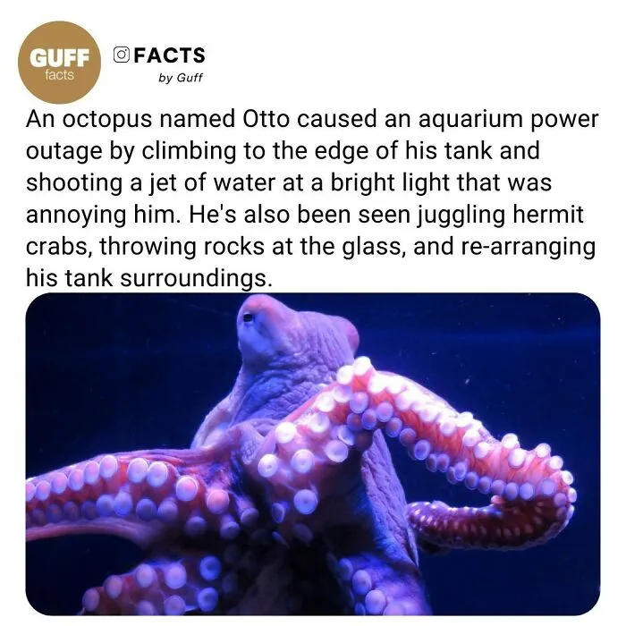 50 Of The Most Interesting Facts About Our World, As Shared By This Instagram Account
