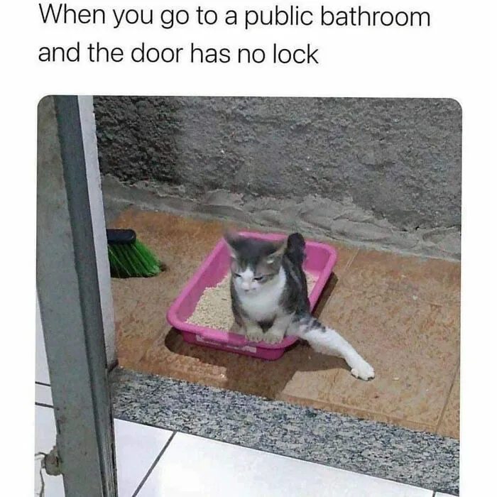 This Instagram Account Celebrates Hilariously Sarcastic Memes, Here Are 50 Of The Best