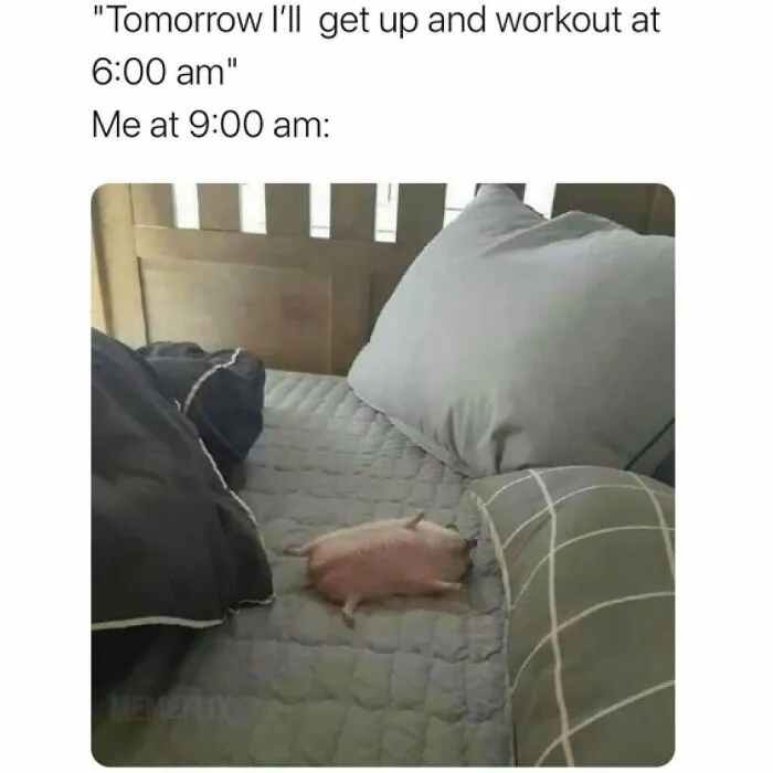 This Instagram Account Celebrates Hilariously Sarcastic Memes, Here Are 50 Of The Best
