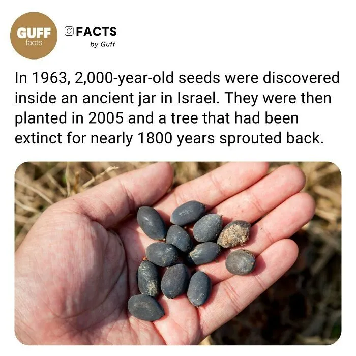 50 Of The Most Interesting Facts About Our World, As Shared By This Instagram Account
