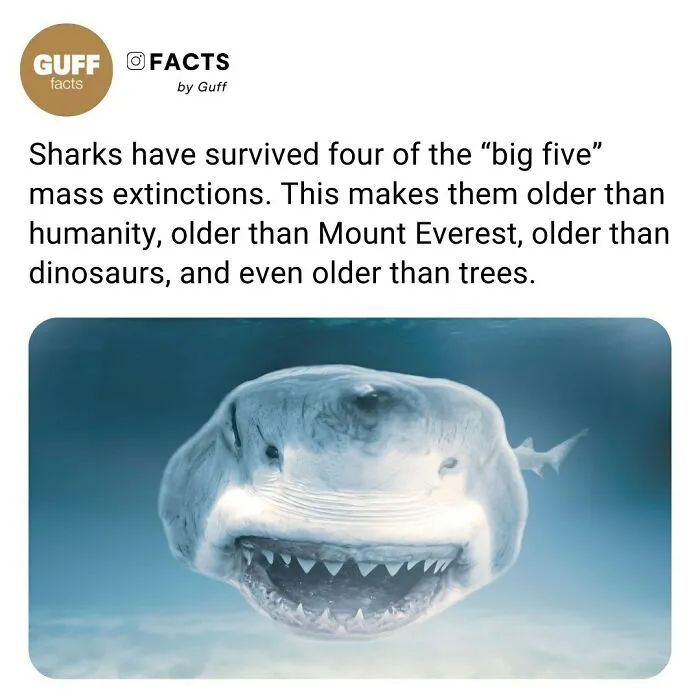 50 Of The Most Interesting Facts About Our World, As Shared By This Instagram Account