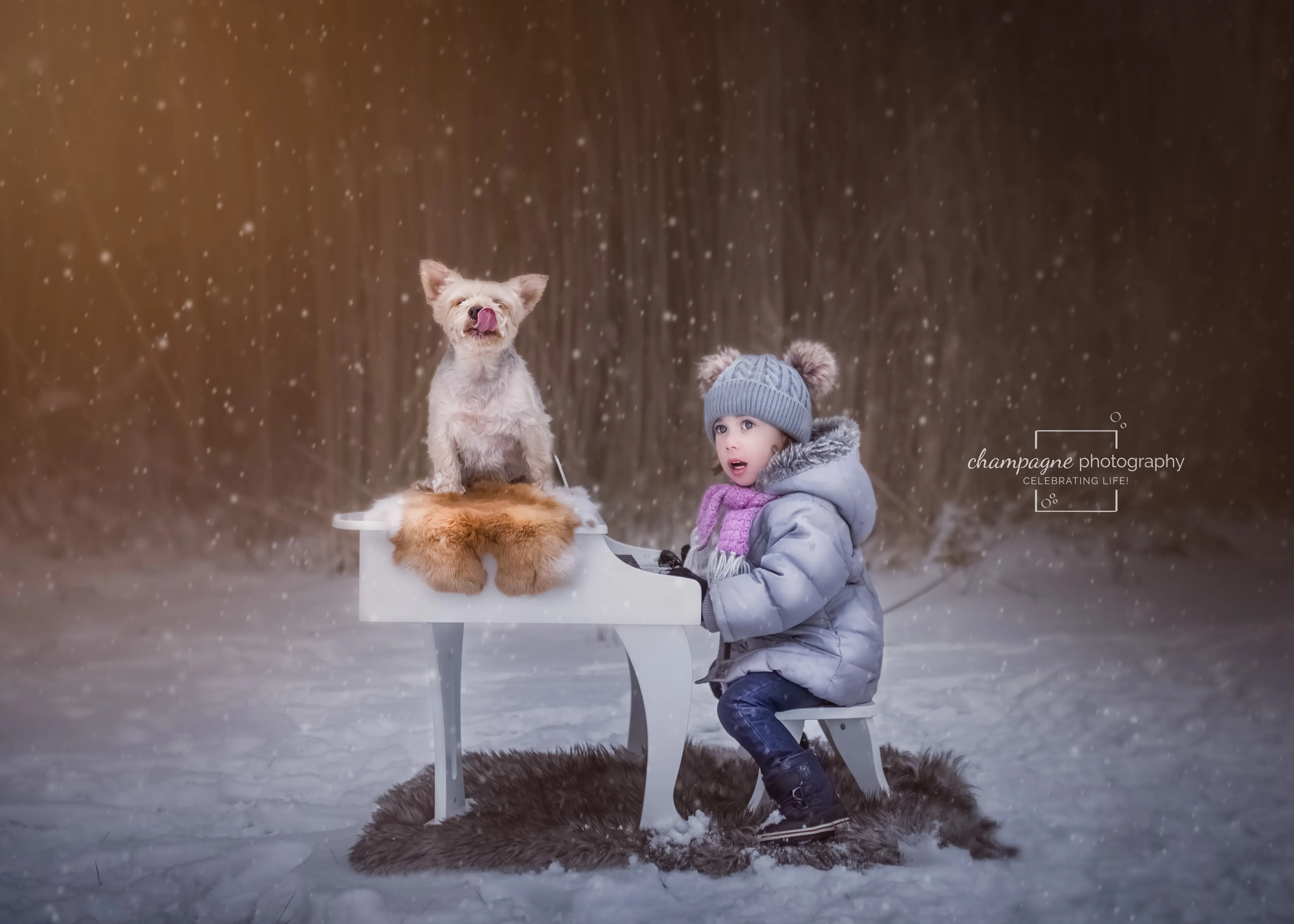 My Dog & Me