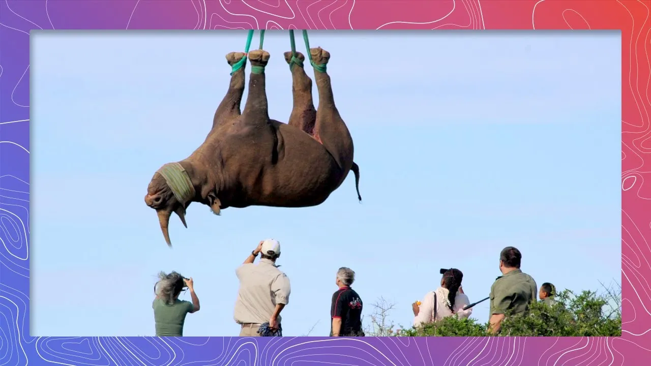 Our Team Is Using Helicopters To Protect Rhinos From The Poaching Crisis