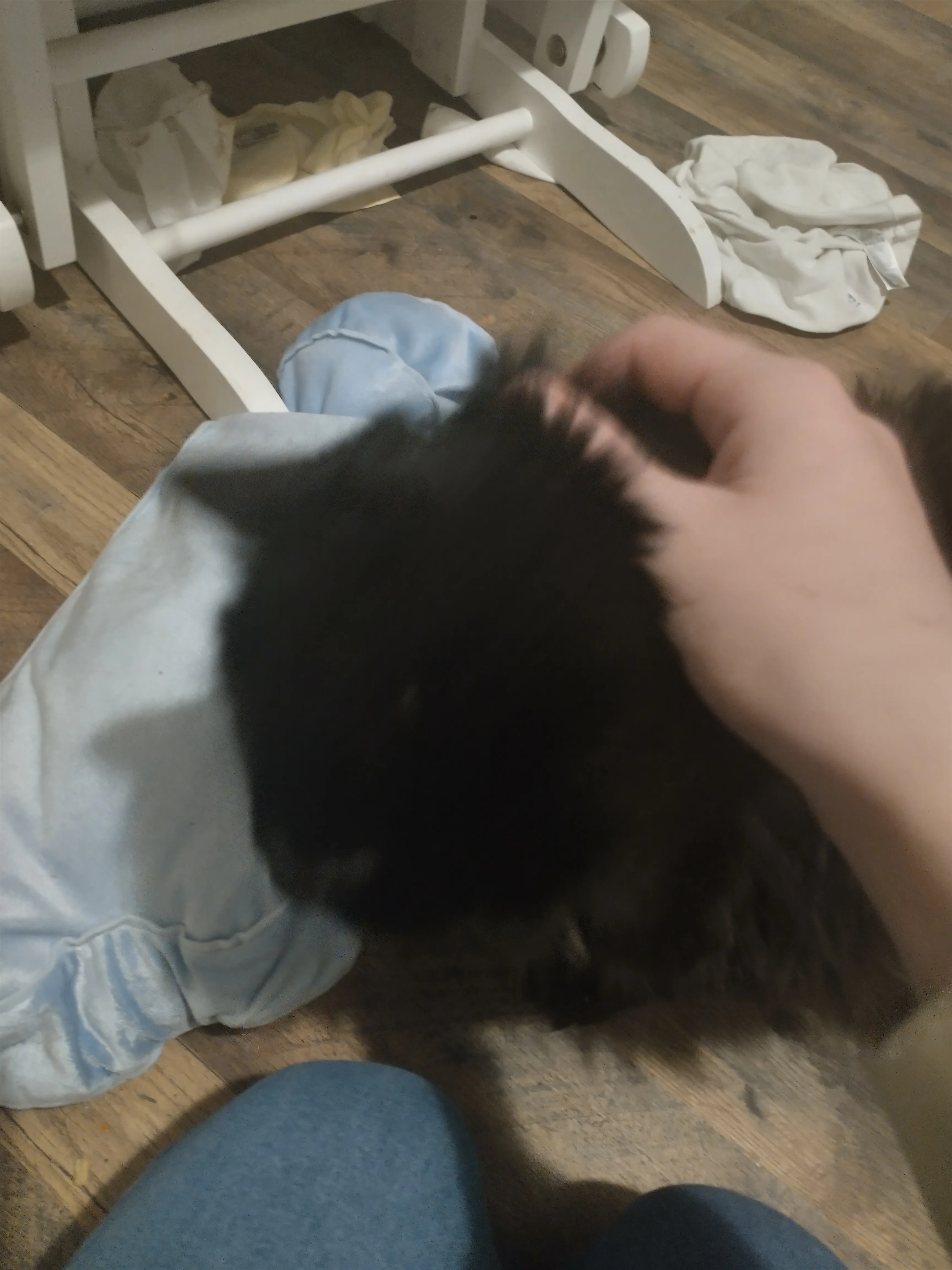Hey Pandas, Post A Picture Of Your Pet (S)